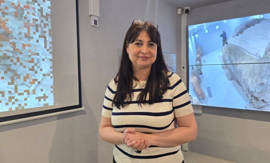 delia cornea directorul muzeului de istorie nationala si arheologie constanta urare de ziua nationala a romaniei cultura si istoria ne unesc ne ofera repere si ne inspira 692d652e7789b