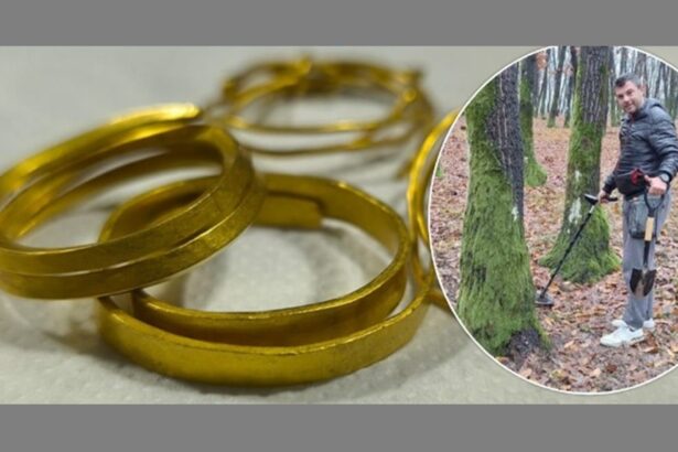 descoperire arheologica impresionanta patru bratari tracice din aur vechi de 3 300 de ani gasite langa un copac 6931a34c512ea