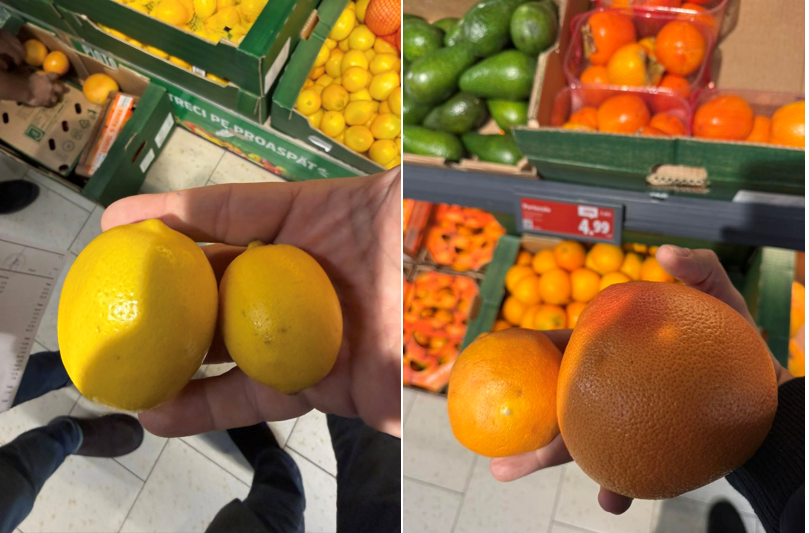 director anpc lamaile sub 45 mm diametru si portocalele sub 60 mm diametru considerate furaj animalier in orice tara civilizata 6946f718ebbb5