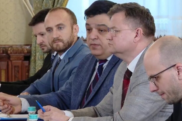 dragos calin asociatia forumul judecatorilor solutia pentru remedierea aspectelor semnalate de magistrati e modificarea legilor 694920f0a6ea3