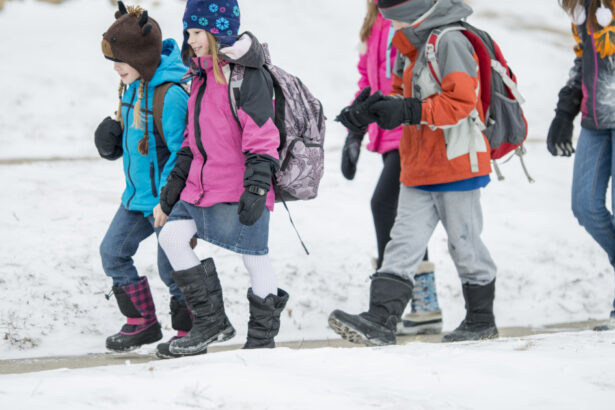 elevii intra in vacanta de craciun 19 zile libere de la cursuri pe ce data se intorc la scoala in 2026 69425133092a6