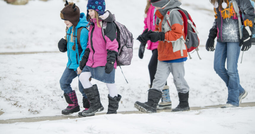 elevii intra in vacanta de craciun 19 zile libere de la cursuri pe ce data se intorc la scoala in 2026 69425133092a6