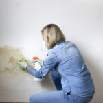 factori care favorizeaza formarea mucegaiului in locuinte cele mai simple metode de prevenire recomandate de specialisti 693e479915679