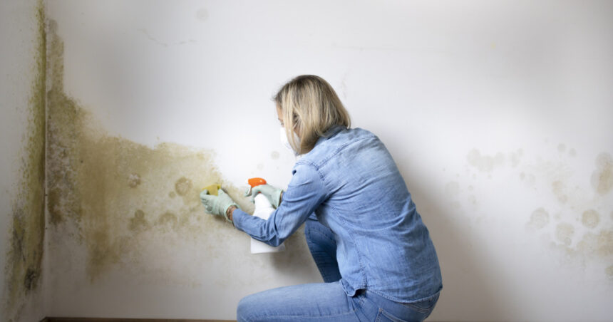 factori care favorizeaza formarea mucegaiului in locuinte cele mai simple metode de prevenire recomandate de specialisti 693e479915679