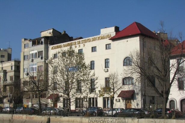 fost ministru al educatiei emotii mari la constanta iata ce verdict asteapta chiar de revelion 69477221b0b1c