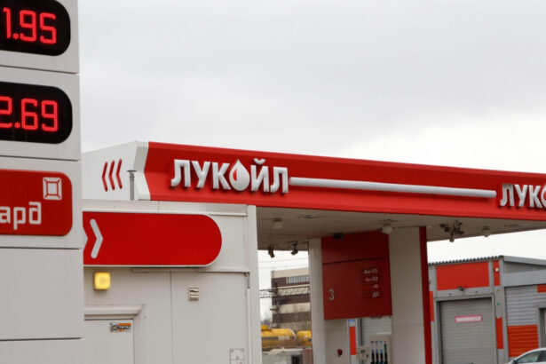 fostul proprietar al unui celebru site pentru adulti intentioneaza sa cumpere lukoil 693131343d6be