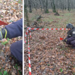 grenada ofensiva functionala descoperita intr o padure din botosani de un pasionat de detectii metalice 692decaf85649