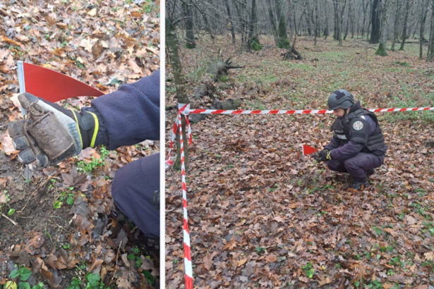 grenada ofensiva functionala descoperita intr o padure din botosani de un pasionat de detectii metalice 692decaf85649