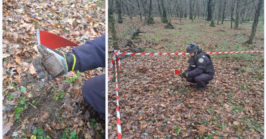 grenada ofensiva functionala descoperita intr o padure din botosani de un pasionat de detectii metalice 692decaf85649