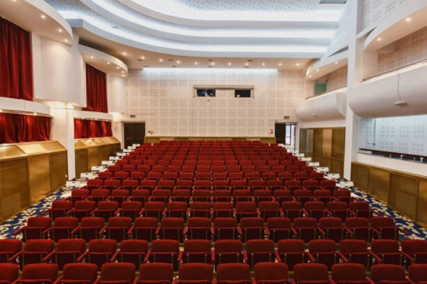 guvernul a alocat peste 188 de milioane de lei pentru teatre opere si filarmonici din 34 de judete 6946301c2e31c