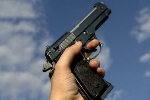 hoti de combustibil dintr un camion urmariti de politisti si somati cu foc de arma la tulcea 6939701cdb2d9