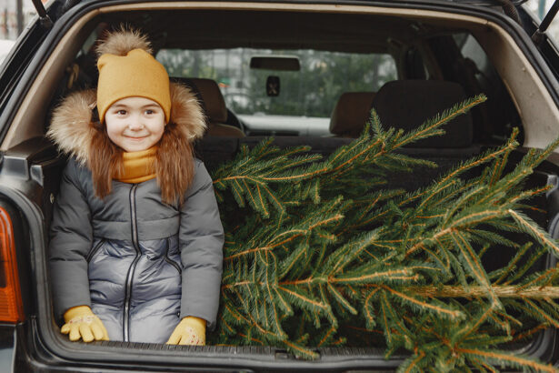 iata ce amenzi riscati daca transportati bradul de craciun incorect in masina 693f0708c1008