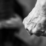 igpr anunta o crestere a numarului de cazuri de violenta domestica dar mai putine fapte penale inregistrate din aceasta cauza in 2025 6946a82292f3a