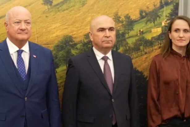 ilie bolojan la viena pentru romania austria este unul dintre cei mai importanti parteneri din europa 6930887d30e26