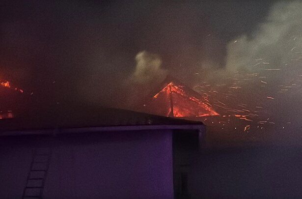 incendiu la un saivan cu animale in medgidia un barbat a fost gasit carbonizat 6943a7b3a5dd8