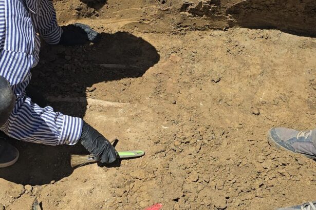 institutul de arheologie din iasi are in lucru monografia necunoscutei necropole romane de pe platforma oil terminal 693f2fa2de144