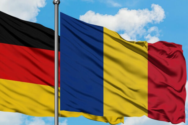 intalnire la nivel de secretari de stat in domeniul apararii dupa ce ministrul german a anulat vizita in romania 69386df29795a