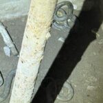 jandarmii tulceni au fost solicitati pentru indepartarea a doi serpi dintr un beci 69368deae098c