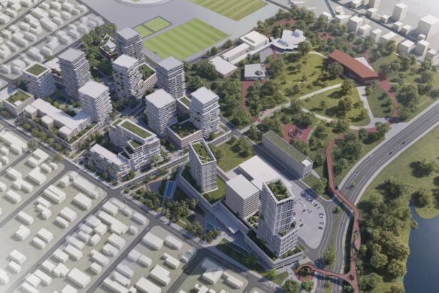 legea nordis decizia ccr si pozitionarea proiectului delfin park 69430614e4a44