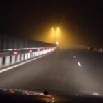 lesuri de ovine imprastiate pe autostrada a2 bucuresti constanta circulatia rutiera deviata pe dn3 693a630ca25c0