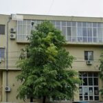 mesajul directorului ajofm constanta adriana duca de ziua nationala a romaniei aceasta zi ne reaminteste valorile care ne unesc 692d92adf1e77