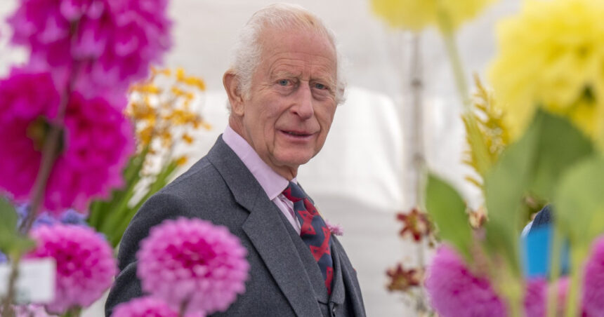 mesajul regelui charles al iii lea pentru romania de ziua nationala va transmitem cele mai calde urari 692d67153713a