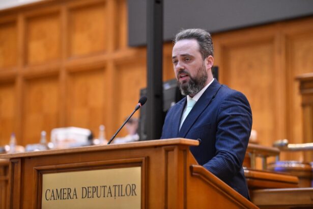 mesajul reprezentantului minoritatii ucrainene in parlamentul romaniei nicolae miroslav petretchi cu prilejul zilei nationale a romaniei 692de7189fe23