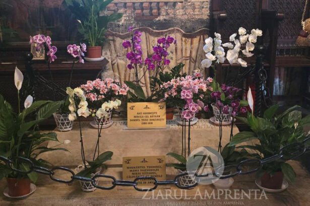 mormantul lui mircea cel batran de la cozia redeschis dupa 100 de ani care este motivul 693a941f5bd6e