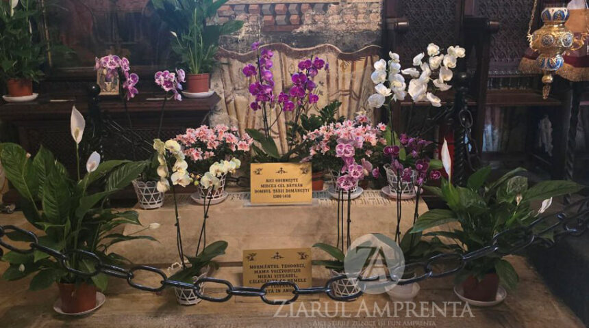 mormantul lui mircea cel batran de la cozia redeschis dupa 100 de ani care este motivul 693a941f5bd6e