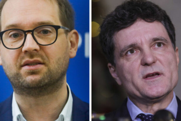 nicusor dan spune ca va discuta cu liderul usr dominic fritz despre nominalizarea pentru ministerul apararii la cine e decizia 693855635251d