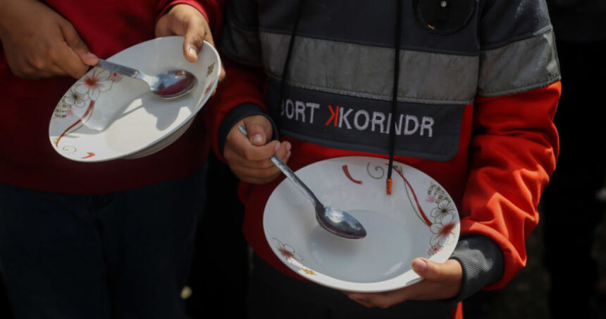 onu peste 75 din populatia fasiei gaza este expusa riscului de foamete extrema 6945ae86c595d