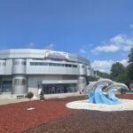 parteneriat pentru natura complexul muzeal de stiinte ale naturii constanta si scoala nr 12 b p hasdeu dau startul unei ample actiuni de plantare 6933c7ca79ba1