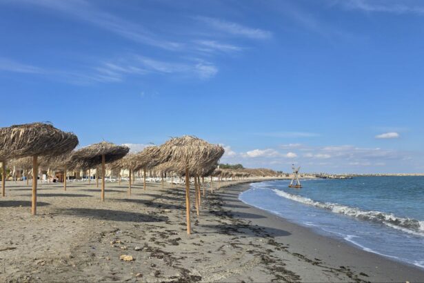 plaja din constanta evaluata la 8 milioane de euro pe cale sa si schimbe proprietarul curtea de apel a stabilit data judecatii 6950aca56b272