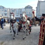 primaria mihail kogalniceanu anunta anularea focului de artificii de la final de an si a evenimentului botezul cailor 6952a6df8eb16