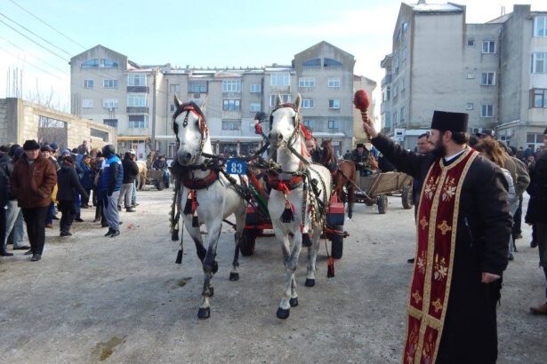 primaria mihail kogalniceanu anunta anularea focului de artificii de la final de an si a evenimentului botezul cailor 6952a6df8eb16