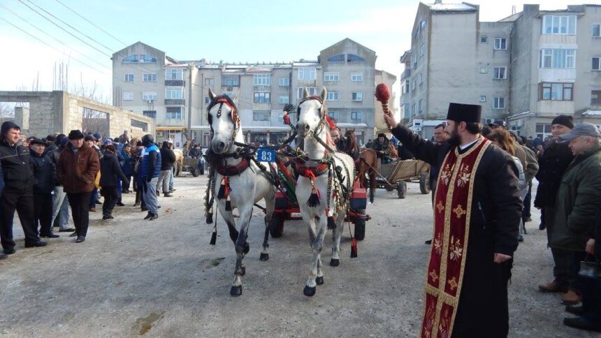 primaria mihail kogalniceanu anunta anularea focului de artificii de la final de an si a evenimentului botezul cailor 6952a6df8eb16