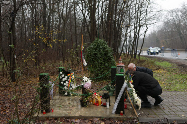 procurorii s au sesizat din oficiu dupa comemorarea lui zelea codreanu la tancabesti 692f0d03c4647