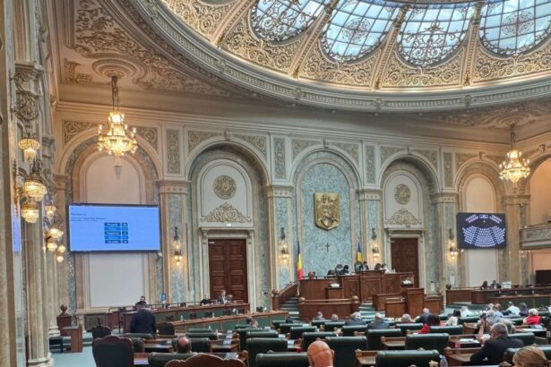 raport de activitate ce au facut cei cinci senatori ai constantei in primul an de mandat 69323dd724194