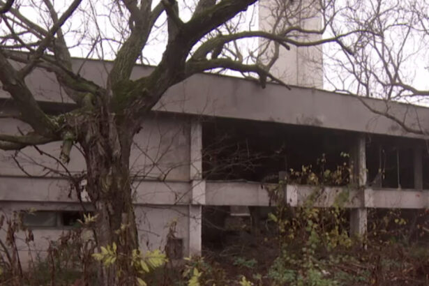 razboi intre doua institutii la agricultura o agentie refuza de 17 ani sa desfiinteze statiuni de cercetare angajati doar sefi 693a531b18553