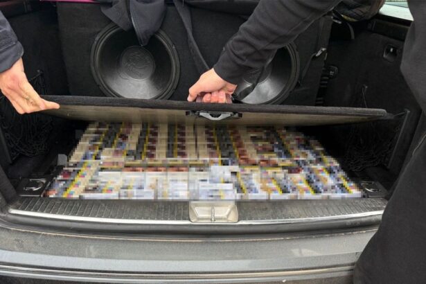 razie la baneasa aproape 3 000 de pachete de tigari de contrabanda descoperite la un cetatean bulgar 69354a7a26f39