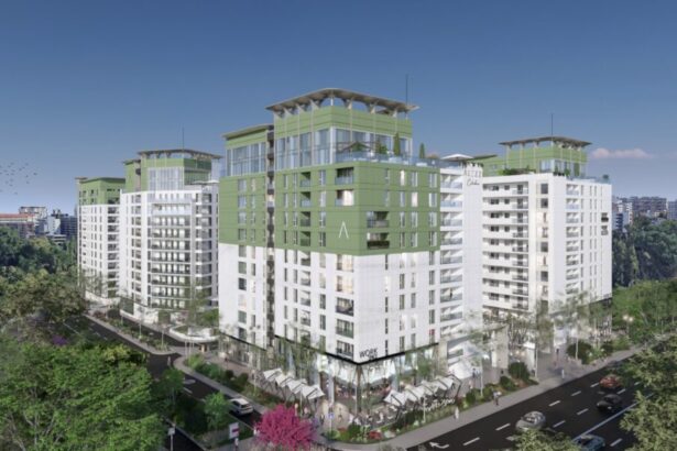 retrospectiva anului 2025 pentru alezzi un an al maturitatii al proiectelor finalizate si al extinderii spre noi directii strategice 6945274f2968b