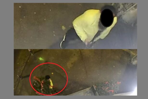 revoltator cetatean surprins in constanta de camerele video cand fugea cu bradul de craciun al unui cabinet oftalmologic grinch ai aparut il ironizeaza internautii 69343f46b0e3b