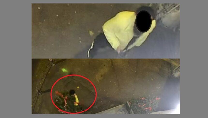 revoltator cetatean surprins in constanta de camerele video cand fugea cu bradul de craciun al unui cabinet oftalmologic grinch ai aparut il ironizeaza internautii 69343f46b0e3b