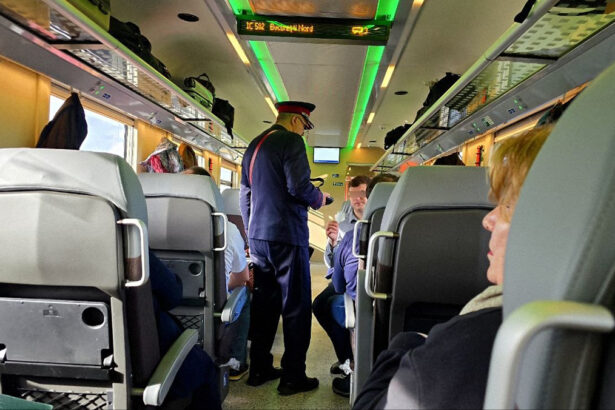 scandal intr un tren care circula pe relatia constanta cernavoda provocat de un cetatean strait 69355fa18b3ad