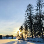 solstitiul de iarna 2025 cea mai lunga noapte a anului de cand incepe sa creasca durata zilei 69464cbb3d11c