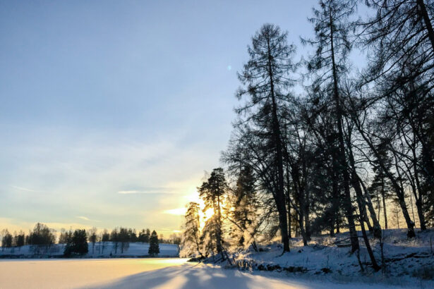 solstitiul de iarna 2025 cea mai lunga noapte a anului de cand incepe sa creasca durata zilei 69464cbb3d11c