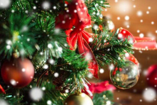 traditii si superstitii in a doua zi de craciun ce sa nu faci ca sa ti mearga bine 694d7277b73e9