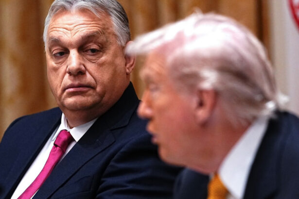 trump il contrazice pe viktor orban privind scutul financiar de 20 de miliarde de dolari budapesta revine cu explicatii 6938830ac77c1