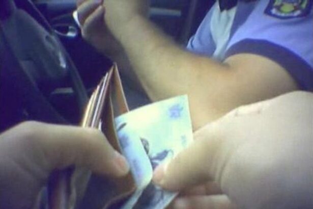 un fost politist de frontiera devenit infractor recidivist cu mai multe condamnari doreste sa fie reabilitat si sa aiba cazierul curat 694678a9ae674