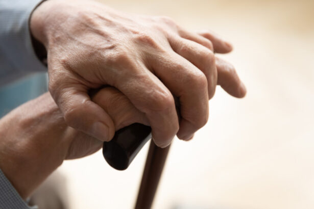 veteranii vaduvele de razboi si pensionarii vor beneficia de reduceri la transport si in 2026 guvernul a prelungit facilitatile 693af86754134